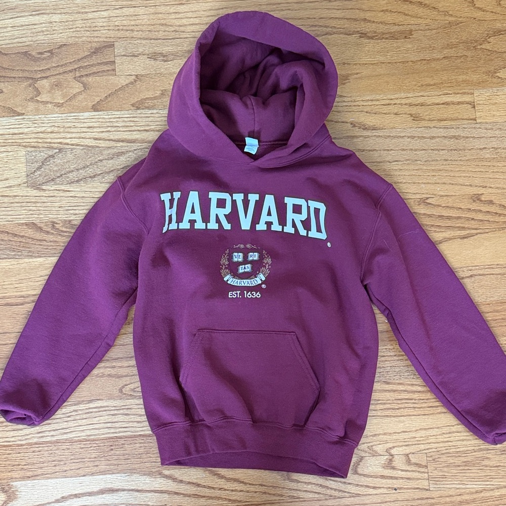 Kids Collegiate Harvard Hoodie